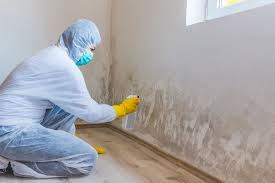 Best Post-Construction Mold Inspection  in San Saba, TX